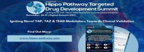 3rd Hippo Pathway Targeted Drug Development Summit